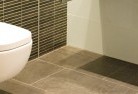 Bellevuetoilet-repairs-and-replacements-5.jpg; ?>